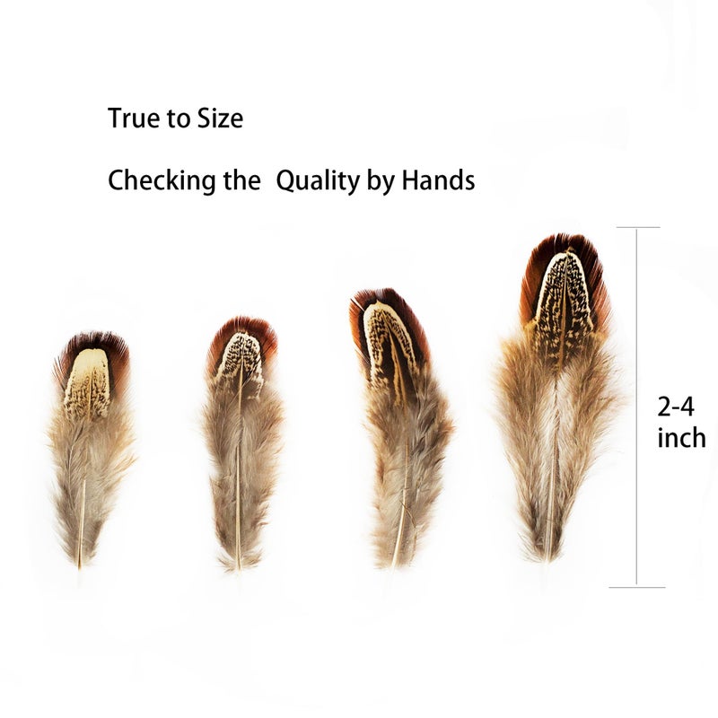 HAPPY FEATHER 100 pcs Natural Pheasant Plumage Feathers 2-3 Inches Plumage Feathers for Sewing Crafts Clothing Decorating Accessories -Nature - Image 2